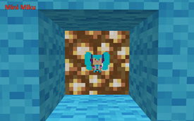 Mini Miku framed