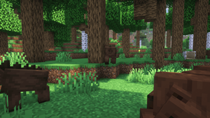 New Project (6).png