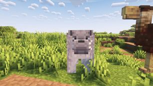 New Project (7).png