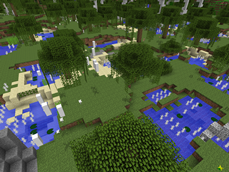 The Twilight Forest