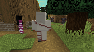 Villagers Walking Around Village