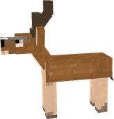 1000050543.png