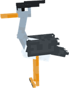 1000050581.png
