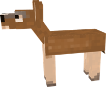 1000050577.png