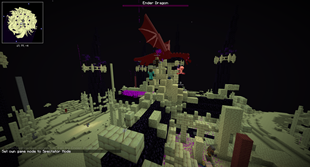 the ender dragon!