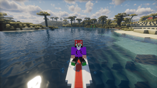 Surfboards