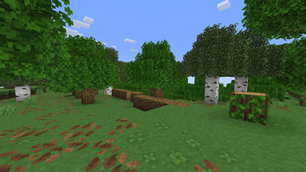 {D1DD2F1E-F2AC-4362-B539-880E3F689B29}.png