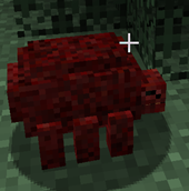 Screenshot 2025-05-27 124215.png