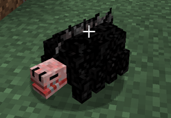 Screenshot 2025-05-27 124313.png