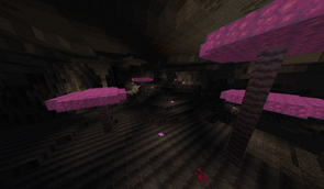 Shale Caves