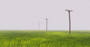 Infinite Grass Field, Photo 1