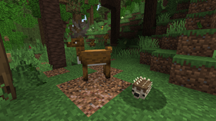 forest.png
