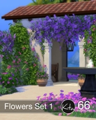 Screenshot 21