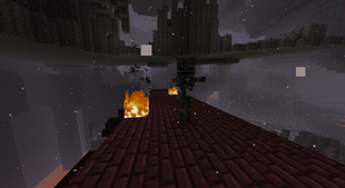 Wither Skeleton Head spawning a Wither Skeleton