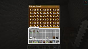 Chest