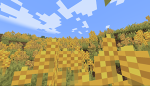 field