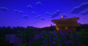 lonely house in lavender field