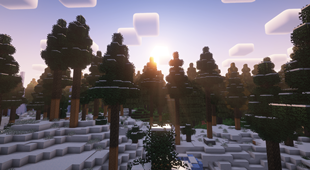 Shaders