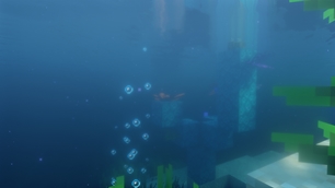 Immersive Experience