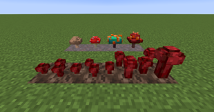 mushroom