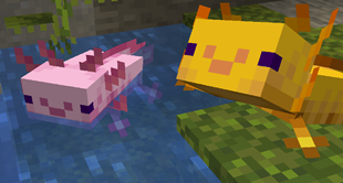 Smiley axolotls :)