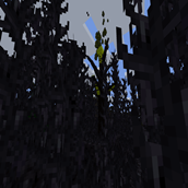 Infected Zone