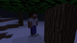 Snowy Forest and White Eyes Entity