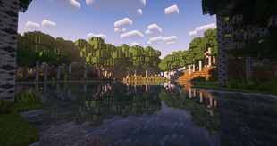 Aspen Grove