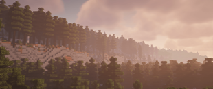 Spruce forest.png