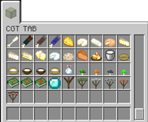 CGT_mod_inv_2.png