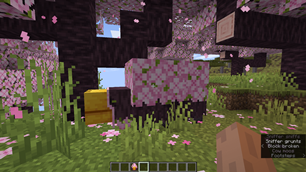 Sniffer in the Cherry Grove Biome