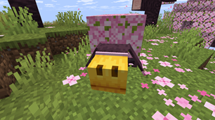 Front of Sniffer