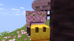 Sniff