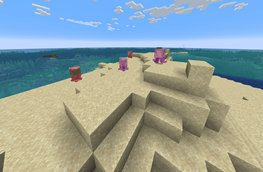 Walking jellyfishs on a beach