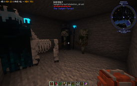 Skeletons