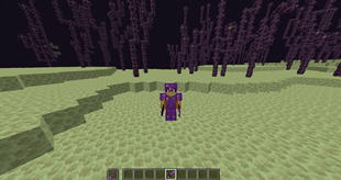 2025-06-20_12.29.36.png