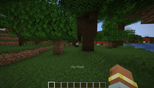 Verified to the server