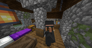 Taiga Crack House