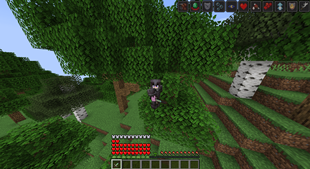 Captura de pantalla 2025-06-21 005706.png