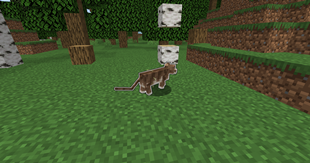 cat_boss_2.png