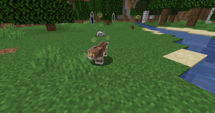 cat_boss.png