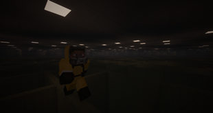 Steve Running Pitfallsâ-min.png