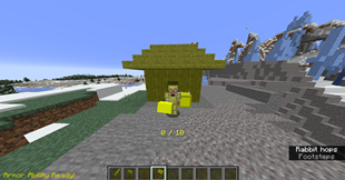 Lucky Armor And Tools