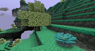 Preview 5