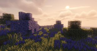 Screenshot 2025-06-22 205248.png