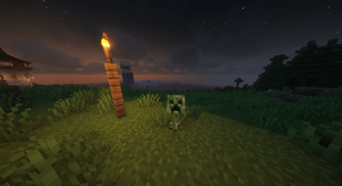 Baby Creeper