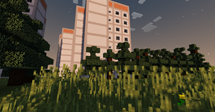 windows