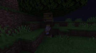 Bees!