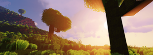 texture coolbabycraft + sildur s'vibrant lite