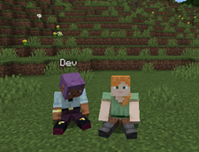 multiplayer
